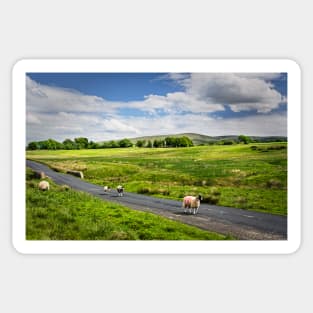 The Road To Caldbeck Sticker